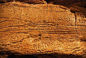 Textura dos calcários da formação de Ste Geneviève salientada por corrosão, X-Cave @ JACrispim-CeGUL-SPE, 2009