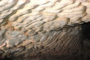 Tecto de anastomoses nas Endless Caverns, Virginia @ JACrispim-CeGUL-SPE, 2009