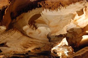 Canais de tecto na Endless Caverns, Virginia @ JACrispim-CeGUL-SPE, 2009