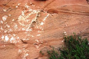Estratificação entrecruzada nos arenitos da formação de Esplanade do Carbónico @JACrispim - CeGUL- SPE, 2009