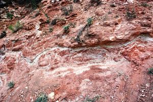 Rochas detríticas vermelhas da formação de Hermit do Pérmico @JACrispim - CeGUL- SPE, 2009