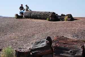 Alguns elementos do grupo observando dois troncos petrificados @JACrispim - CeGUL- SPE, 2009