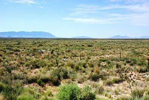 O Deserto de Chihuahuan a oeste de Carrizozo @JACrispim-SPE-CeGUL-2009