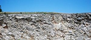 Estruturas colapsadas na sequência estratigráfica do Edwards Limestone @ JACrispim - CeGUL - SPE, 2009