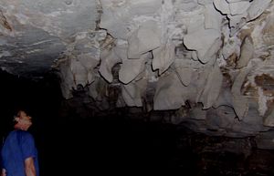 Anastomoses, Blanchard Springs Caverns @ Pilar Vicente-SPE, 2009