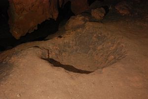 Cova de Urso das Cavernas em Round Cave, Missouri @ JACrispim, CeGUL-SPE. 2009