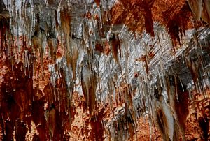 Tecto com tubulares em Round Cave, Missouri @ JACrispim, CeGUL-SPE. 2009