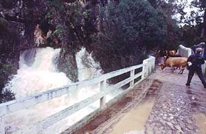 sc4aw.jpg (21360 bytes)
